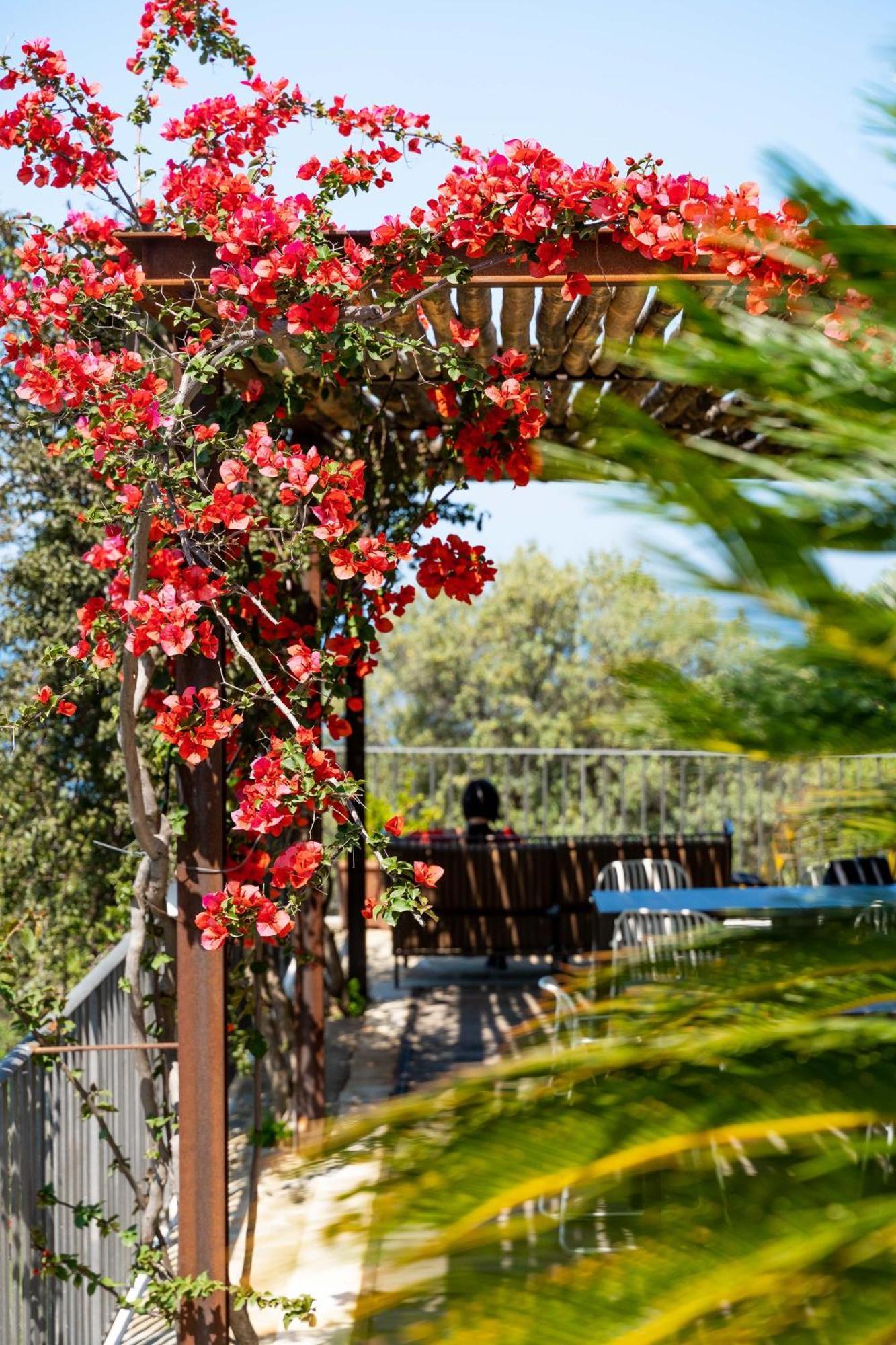B&B Baia Di Trentova Agropoli Esterno foto