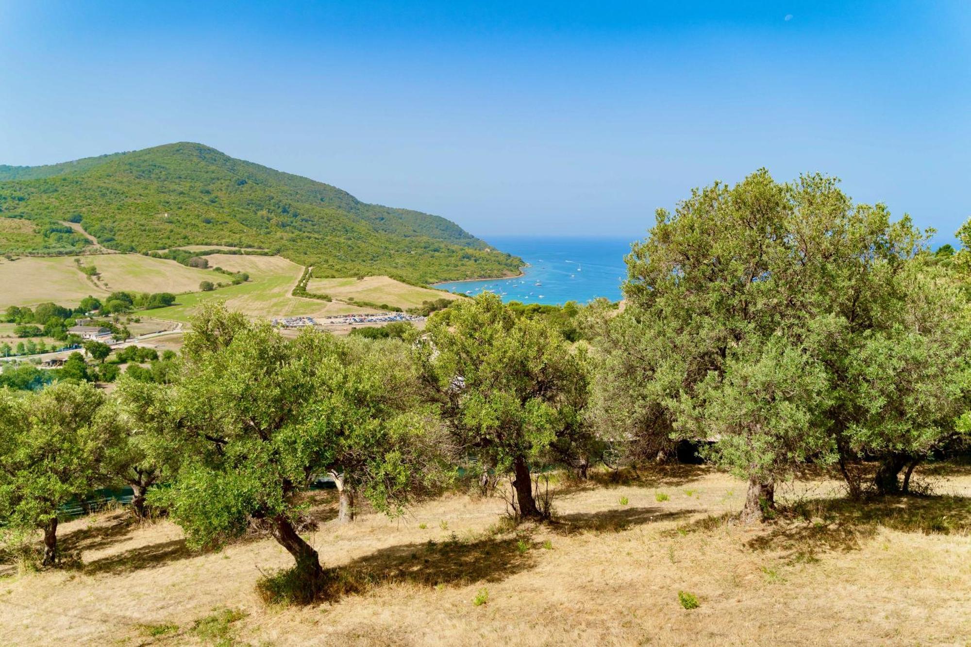 B&B Baia Di Trentova Agropoli Esterno foto